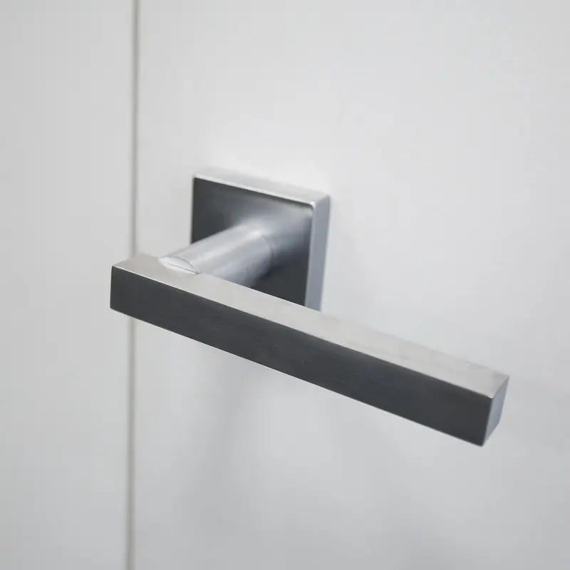 Close-up of a brushed steel door handle
