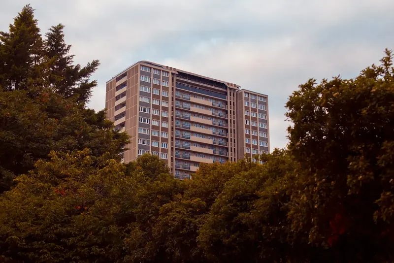 Block of flats behind trees in London